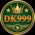DK999 Game